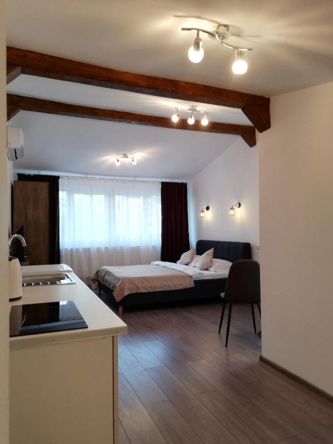 Cara Studio Cu Parcare - Cluj-Napoca Zona Republicii Ngoại thất bức ảnh